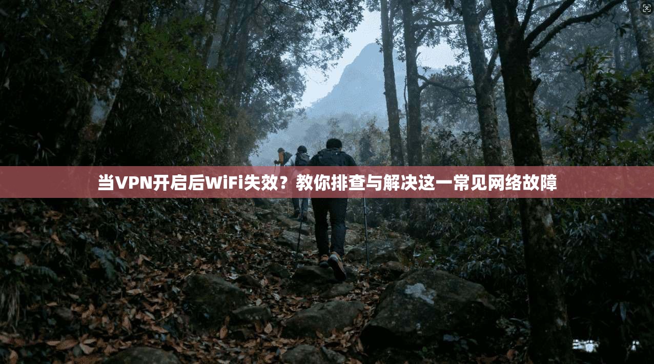 当VPN开启后WiFi失效？教你排查与解决这一常见网络故障