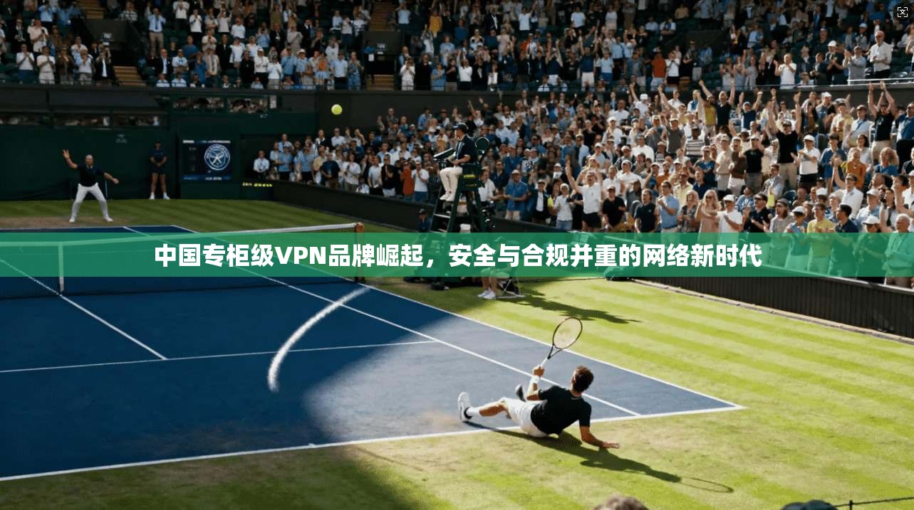中国专柜级VPN品牌崛起，安全与合规并重的网络新时代