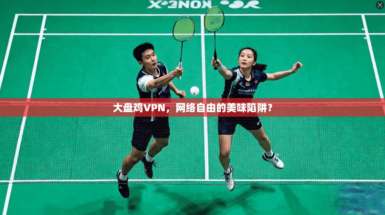 大盘鸡VPN，网络自由的美味陷阱？