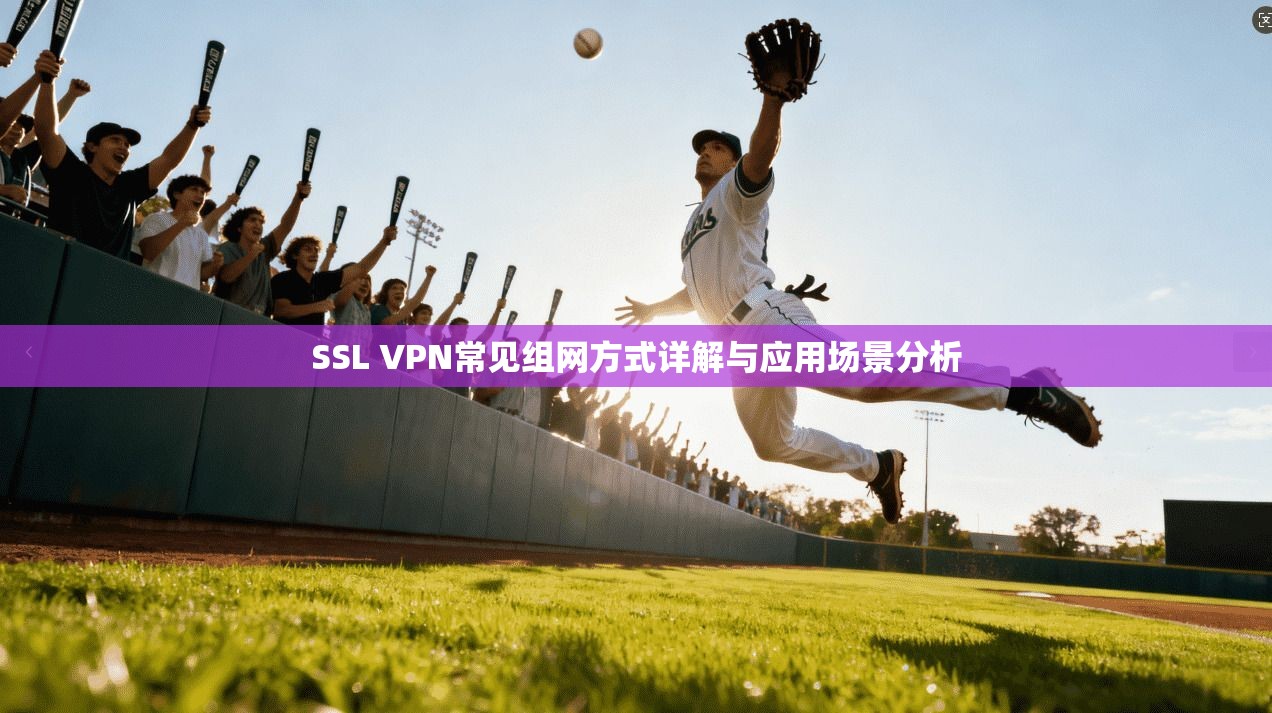 SSL VPN常见组网方式详解与应用场景分析 SSL VPN常见组网方式详解与应用场景分析