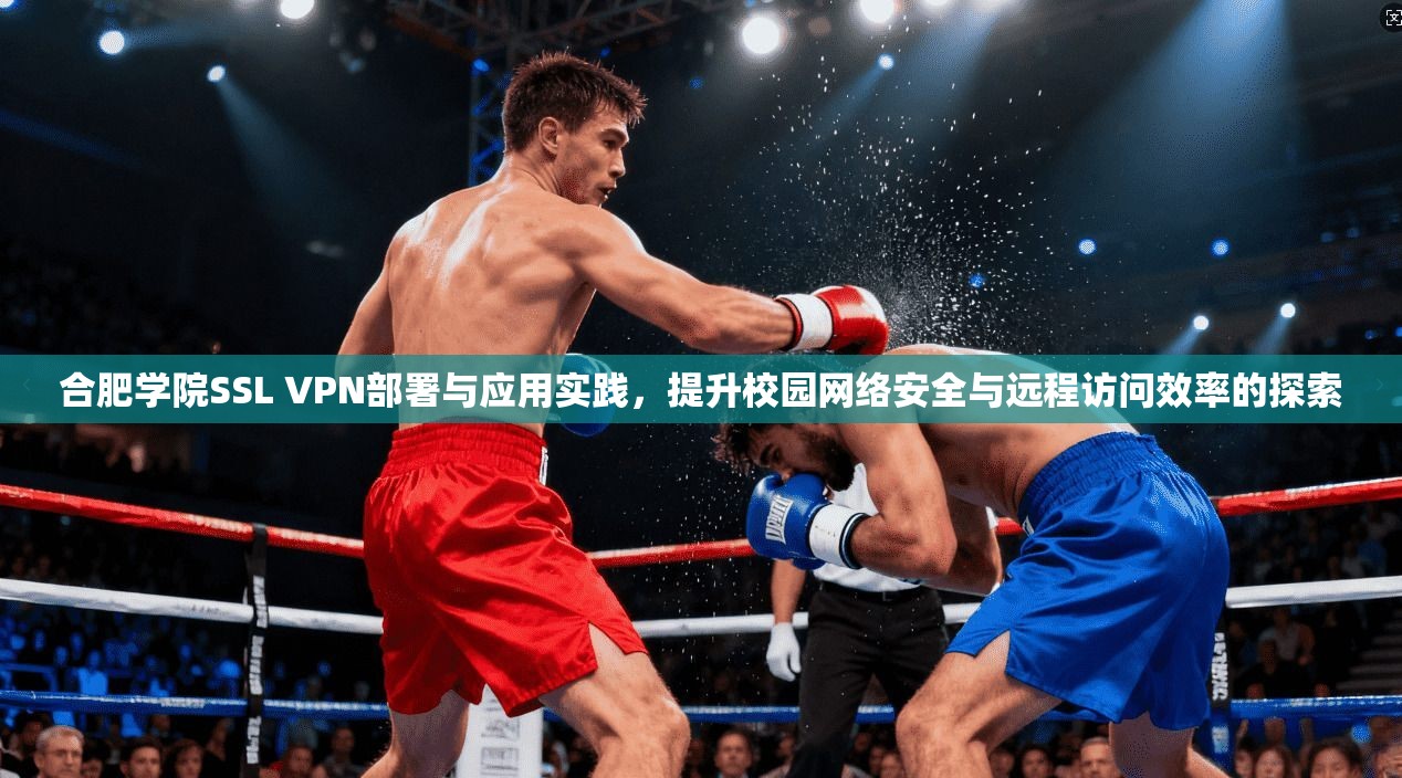 合肥学院SSL VPN部署与应用实践，提升校园网络安全与远程访问效率的探索